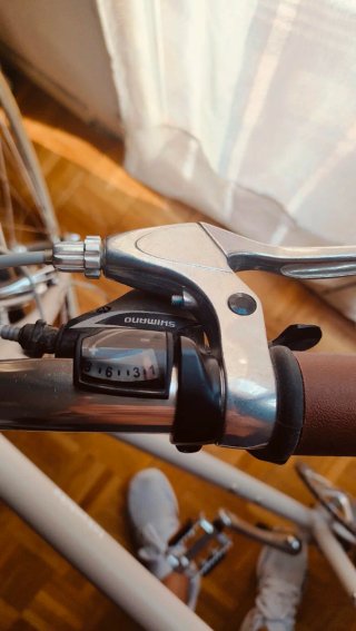 Bicicleta Tokyo Bikes Talla L