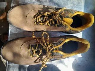 Bota seguridad 43