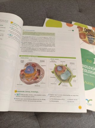 Bioloxía e xeoloxía, ESO 1