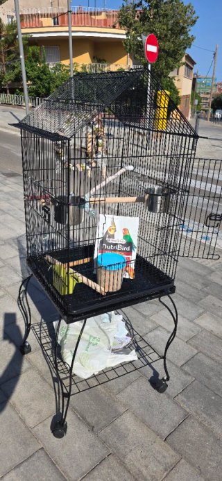 Jaula para pájaros grande con ruedas