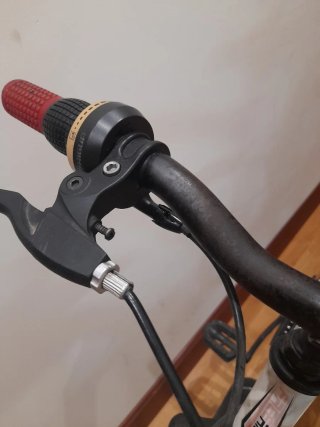 Bicicleta Montaña 20 pulgadas