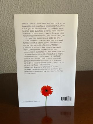 El poder del alma Tu conexión interior