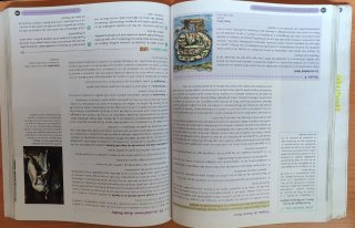 Historia de la Filosofía, 2 Bachillerato, Genio...