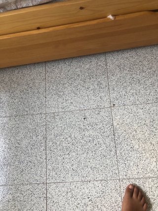 Cama nido madera con cajón