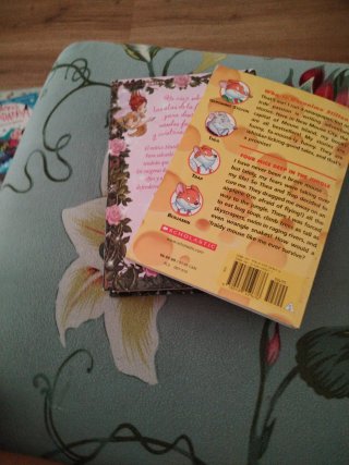 Pack de dos libros Gerónimo Stilton y otro de tea