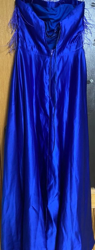 Vestido largo azul con plumas