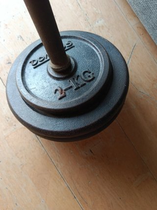 dos Pesas de gimnasio