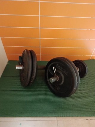 dos Pesas de gimnasio