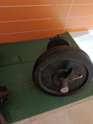 dos Pesas de gimnasio