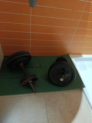dos Pesas de gimnasio