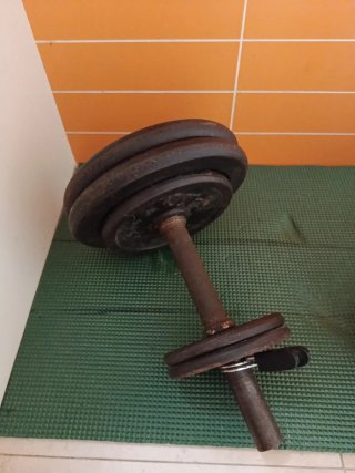 dos Pesas de gimnasio