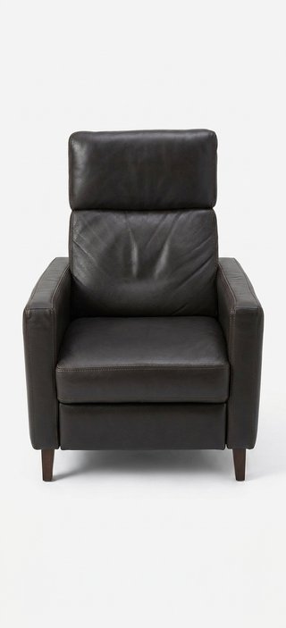 Sillón de piel marrón oscuro