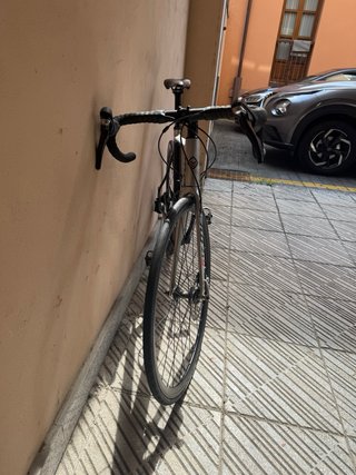 Megamo R17