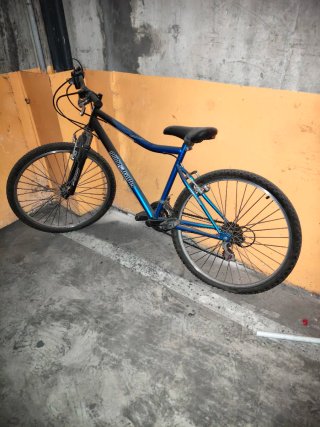 OPORTUNIDAD!! Bicicleta Montaña Globe Trotter