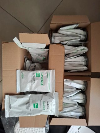 Folletto VK7S Aspirapolvere Completo