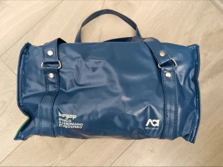 Borsa frigo