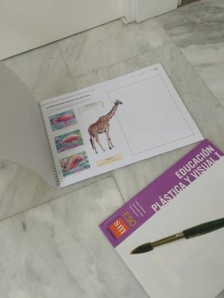 Educación plástica y visual I. ESO