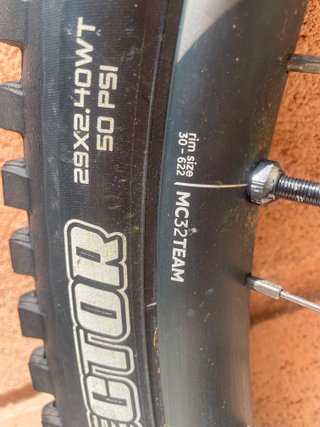Orbea Rise H10 2024