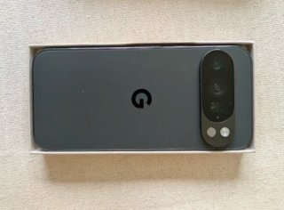 Google Pixel 10 Pro 256GB Gris