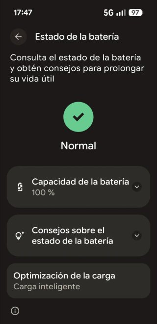Google Pixel 10 Pro 256GB Gris