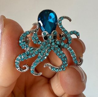 Broche Polvo Azul e Prateado com Cristais