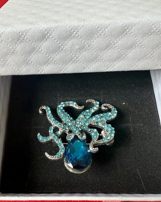 Broche Polvo Azul e Prateado com Cristais
