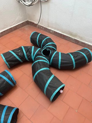 Túneles para gatos/conejos