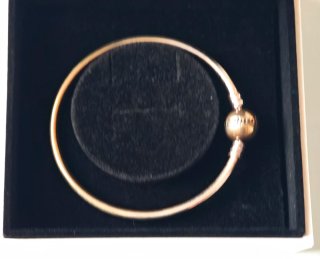 Pulsera Rígida Pandora Bangle en Plata de Ley