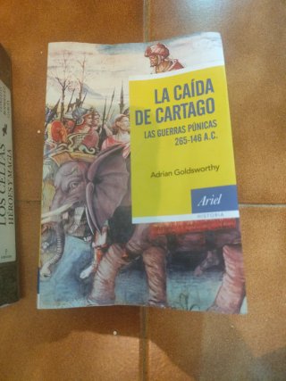 La caída de Cartago: Las Guerras Púnicas, 265-1...