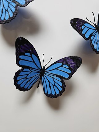 Imanes Mariposa Morfo 3D Premium