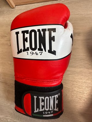 Guantes Boxeo Leone 14oz