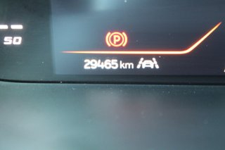Seat ARONA 1.0 TSI 85kW 115CV Xperience (2025)