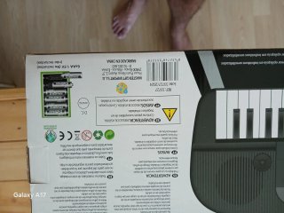 Teclado Órgano Electrónico Infantil
