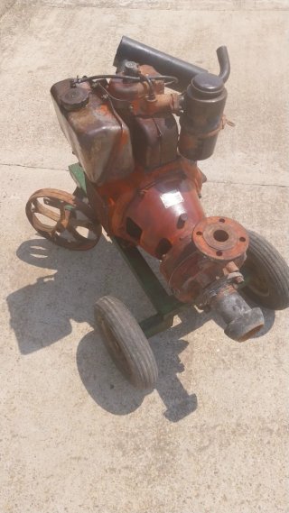 Motor Diter para riego
