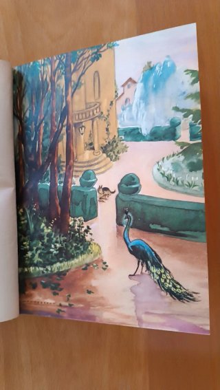 Libro antiguo BLANCA Y SUS VECINITOS