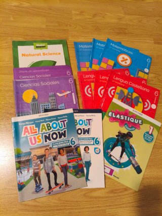 Lote de libros 6 primaria Colegio Numancia