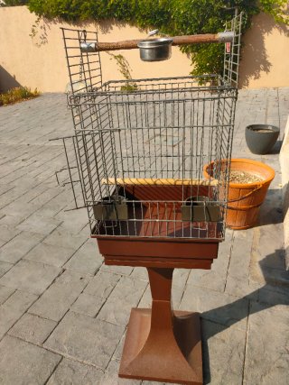 Jaula para loro con soporte