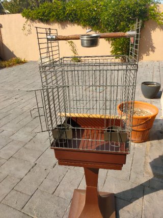 Jaula para loro con soporte