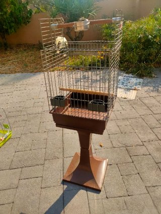 Jaula para loro con soporte