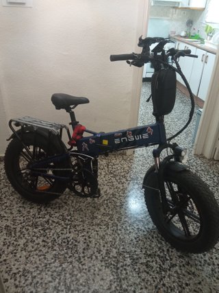 Bicicleta Eléctrica Anguie Pro 2.0