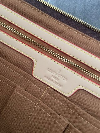 Funda Portátil Louis Vuitton Marrón