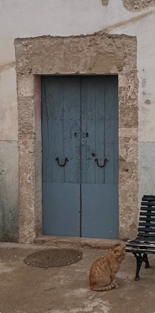 Puerta antigua de madera