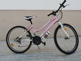 Bicicleta niña rosa RUNNER