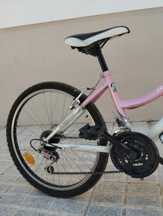 Bicicleta niña rosa RUNNER