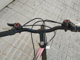 Bicicleta niña rosa RUNNER