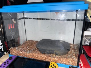 Acuario para pez beta urge venta