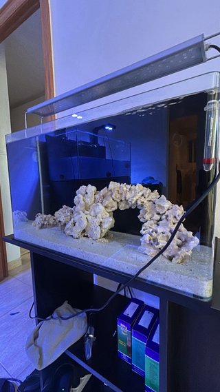 Acuario Marino AIO 80L Negro