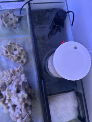 Acuario Marino AIO 80L Negro