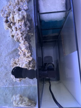 Acuario Marino AIO 80L Negro