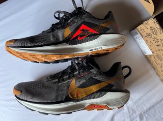 Nike Pegasus Trail 5 Reactx 44.5